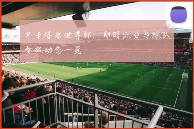 年卡塔尔世界杯：即时比分与球队晋级动态一览