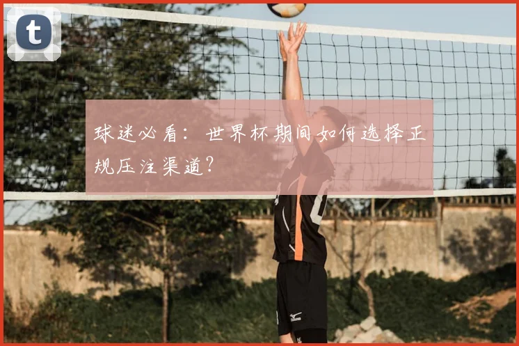 球迷必看：世界杯期间如何选择正规压注渠道？