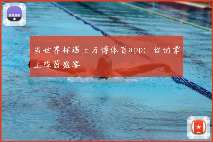 当世界杯遇上万博体育app：你的掌上绿茵盛宴