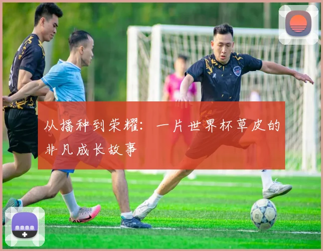 从播种到荣耀：一片世界杯草皮的非凡成长故事