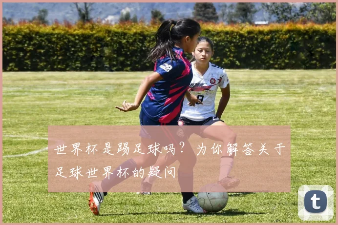 世界杯是踢足球吗？为你解答关于足球世界杯的疑问