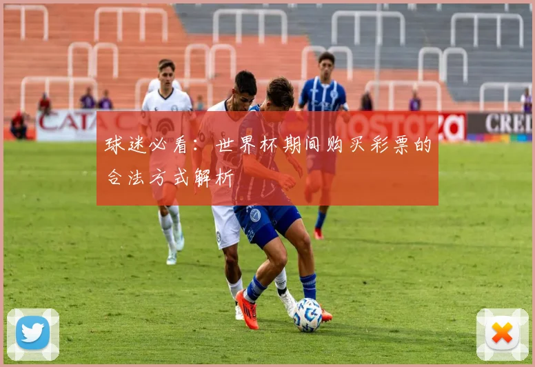 球迷必看：世界杯期间购买彩票的合法方式解析