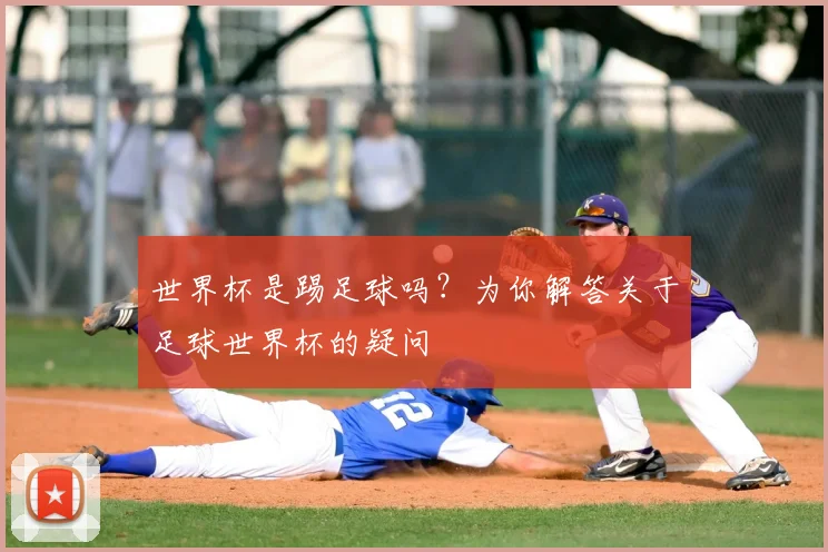 世界杯是踢足球吗？为你解答关于足球世界杯的疑问